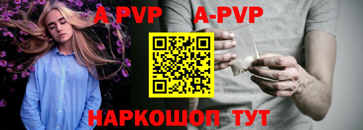 A-PVP СК КРИС Сорочинск