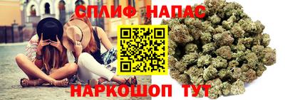 крисы Пыть-Ях