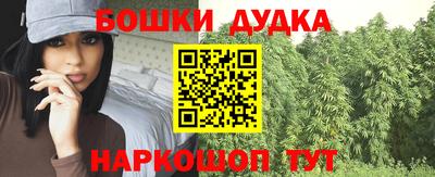 крисы Пыть-Ях