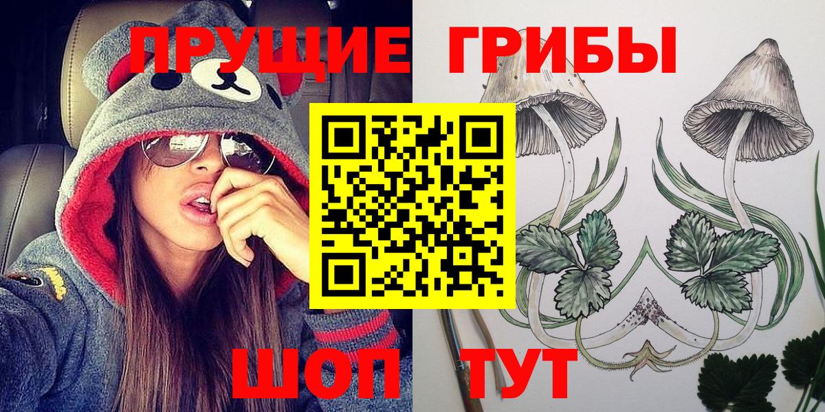 дарнет шоп  Вход с VPN  Галлюциногенные грибы Magic Shrooms  Сорочинск  Галлюциногенные грибы Psilocybe 